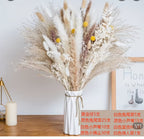 Boho Dried Pampas Grass Bouquet – 100 Stems
