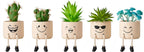 Smiley Face Shelf Sitter Planters with Faux Plants – Set of 5